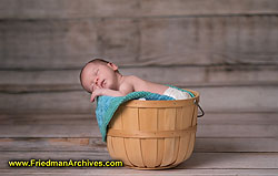 Isaac in a Basket A7r II  cropped DSC09923